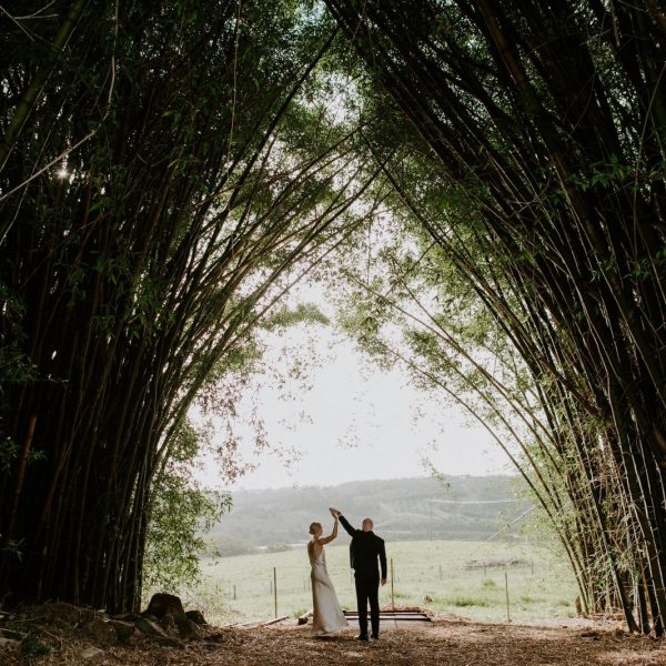 bamboo wedding arbour